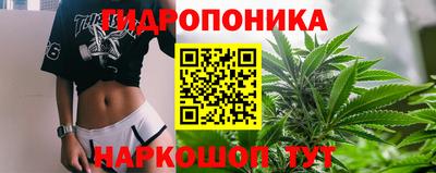 гашик Абинск