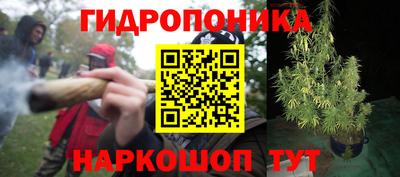 гашик Абинск