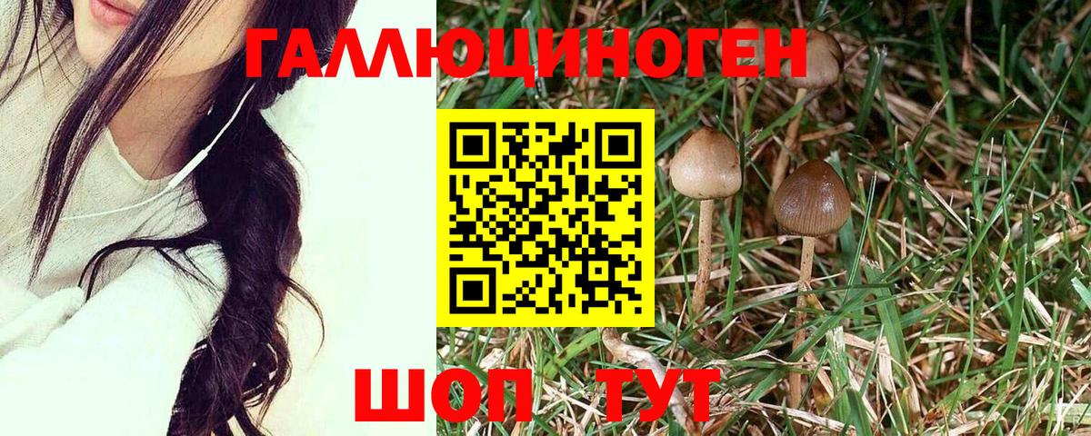 Кировск  Галлюциногенные грибы прущие грибы  Вход с VPN  Галлюциногенные грибы мухоморы 
